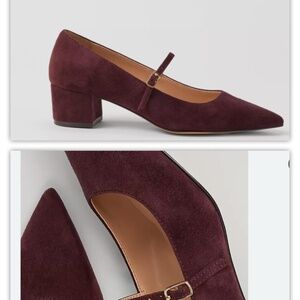 Ann Taylor Cranberry Suede Leather Mary Jane Block Heel Pump Womens 8 NEW
